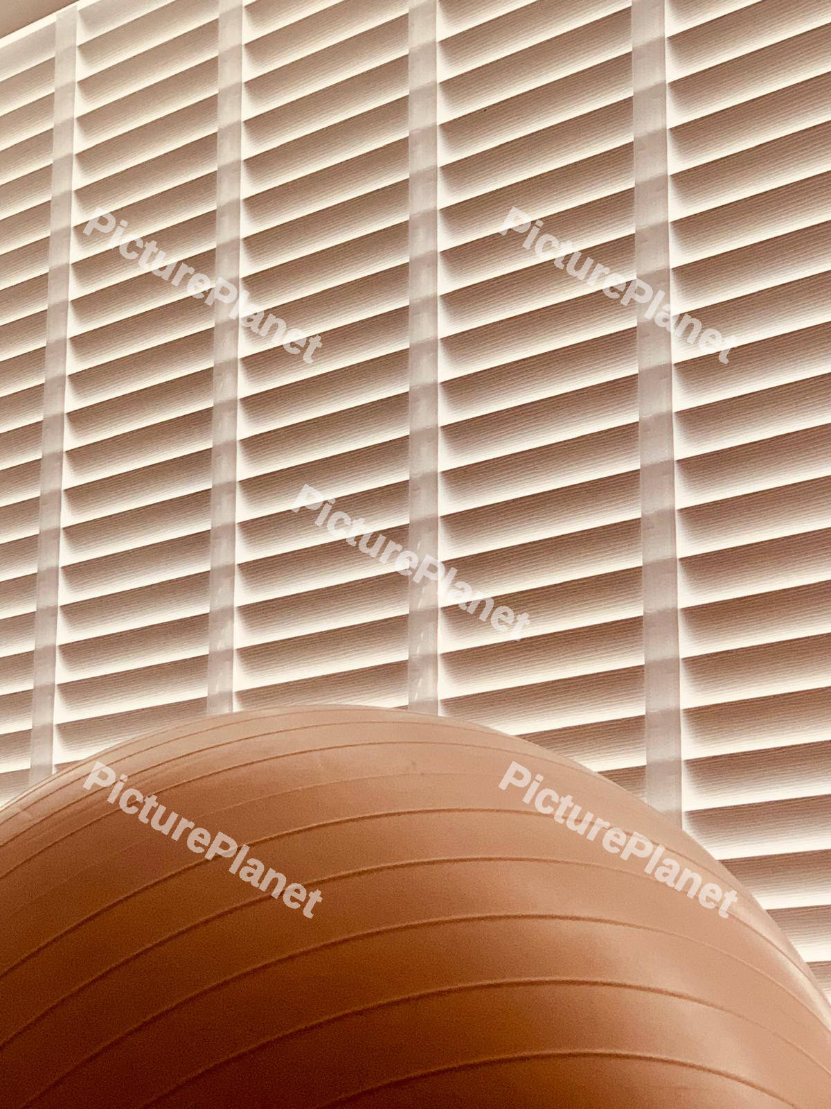 Pink Ball White Blinds